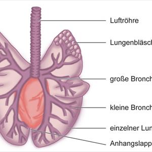  Prevention And Treatment