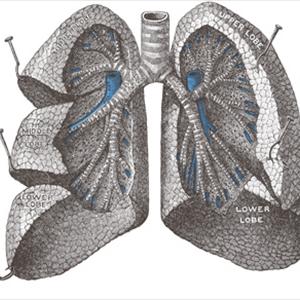 Stop Chronic Lung Congestion 